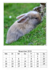 November_Kaninchen_2.pdf